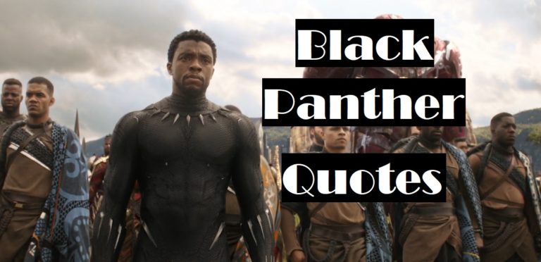 Black Panther Top 10 Leadership Quotes From Tchalla 4160