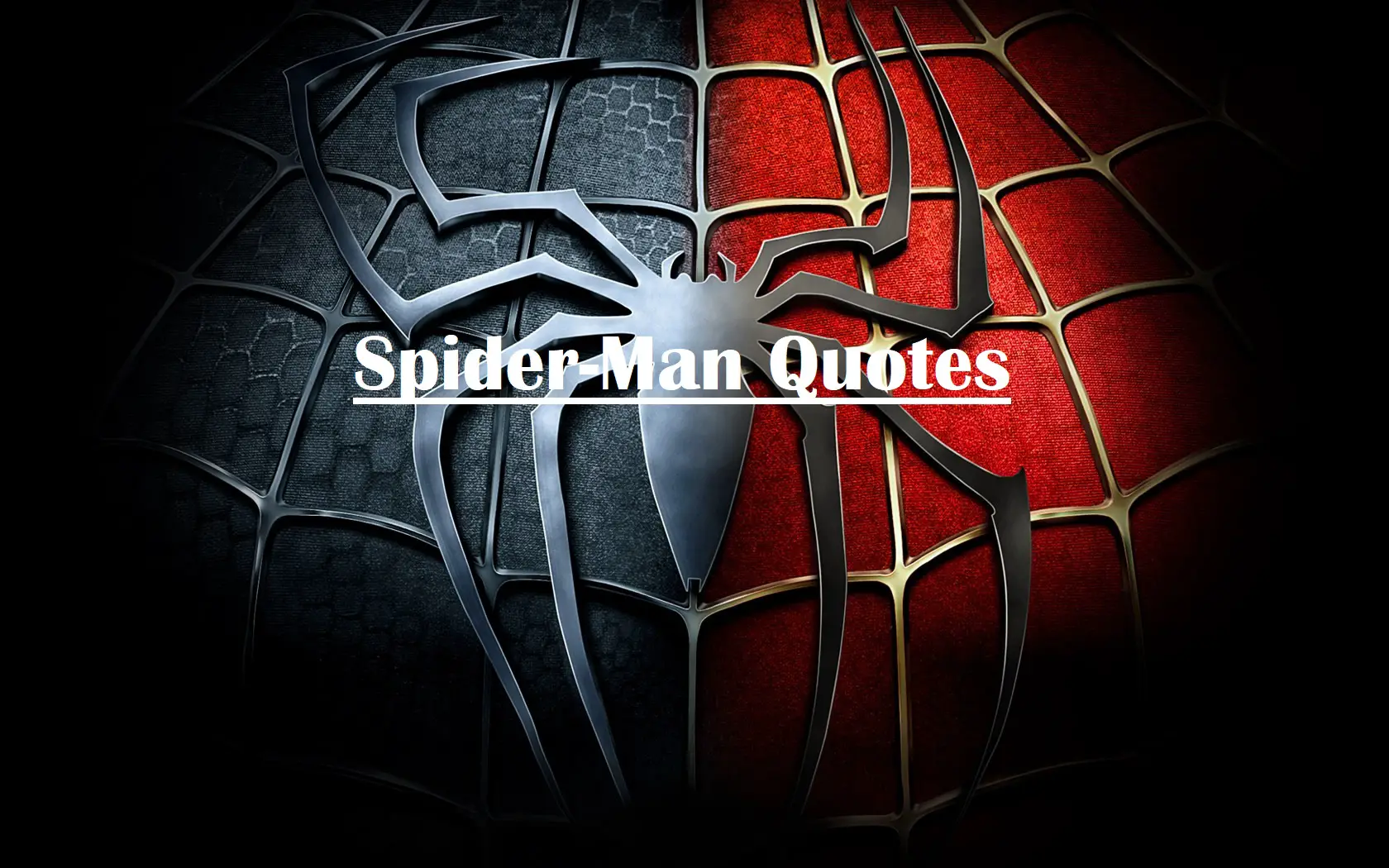 spider-man quotes